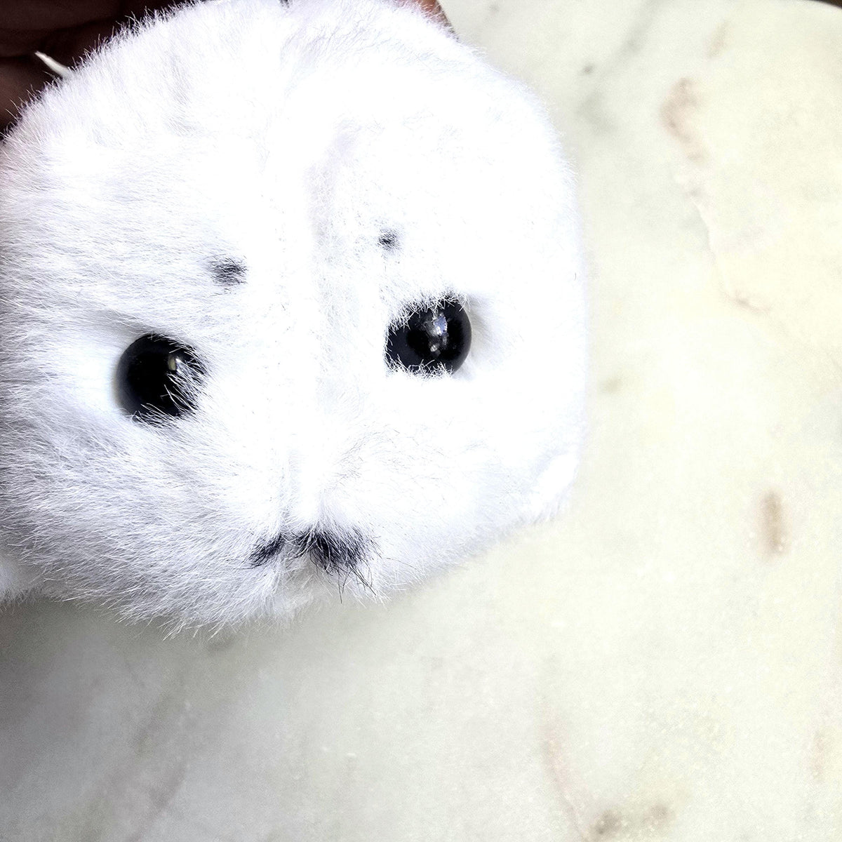 Kawaii White Baby Seal Plush Keychain Teen Backpack product photo from Rey & Luck Co